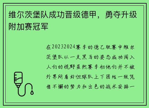 维尔茨堡队成功晋级德甲，勇夺升级附加赛冠军